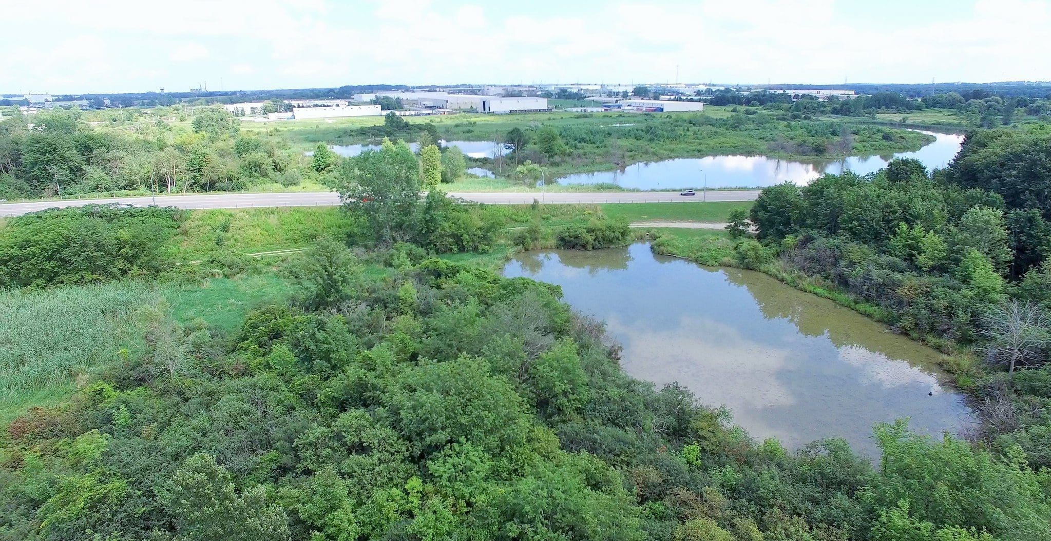 Brick Ponds is a restored urban wetland in Woodstock, Ont.