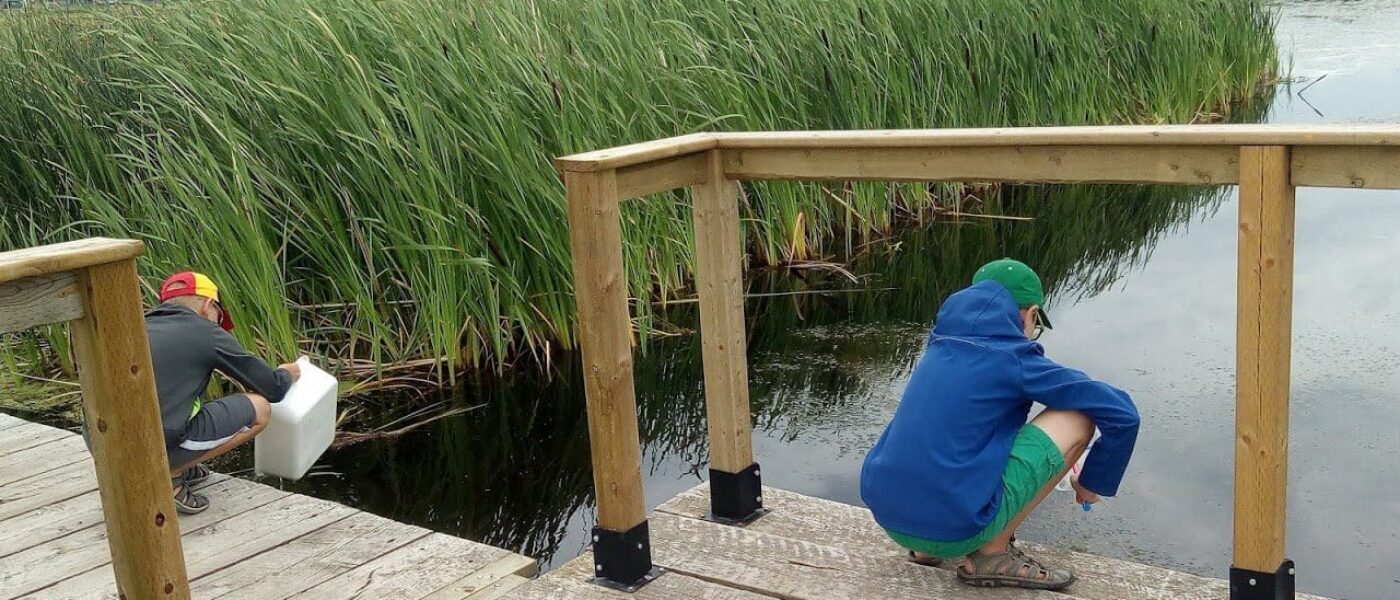 Damon and Graham conduct pond dipping at McKell-Wascana Park