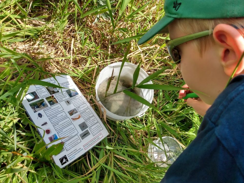 Graham identifies invertebrates he's found while exploring a Regina-area wetland.