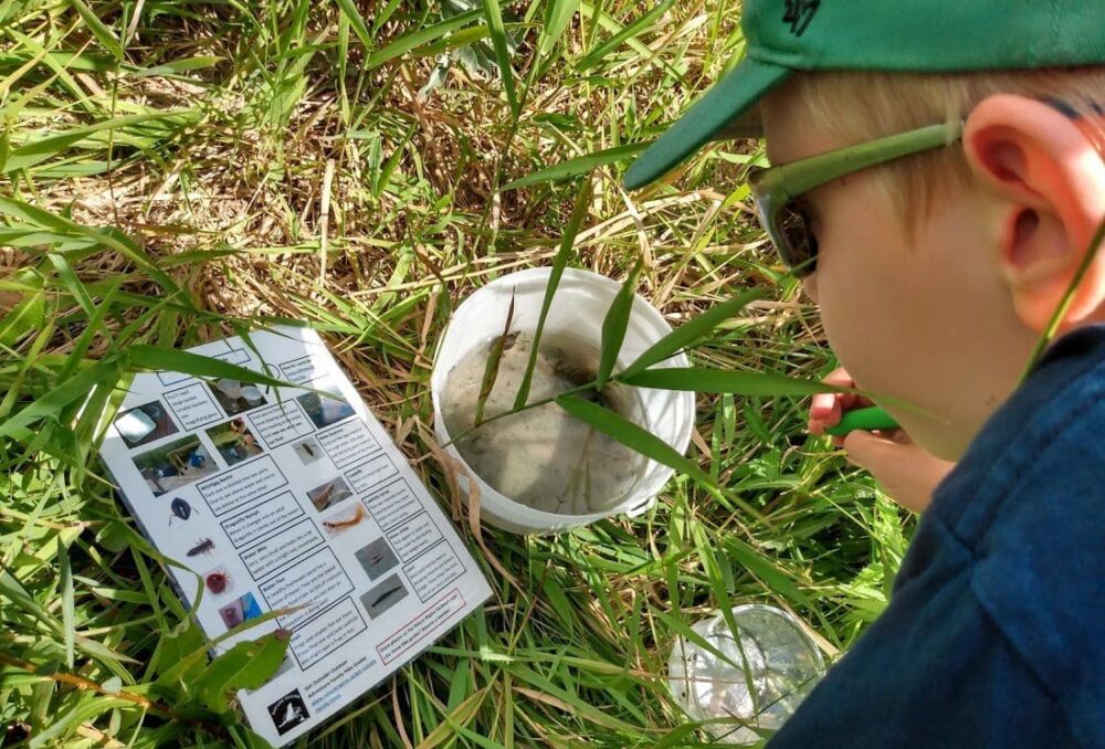 Graham identifies invertebrates he's found while exploring a Regina-area wetland.