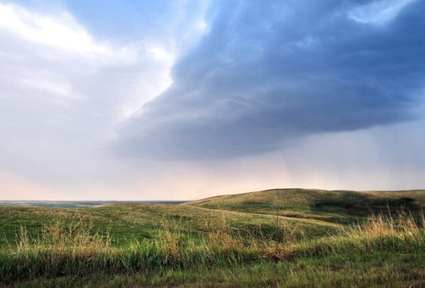 Prairie farmers and ranchers can further enhance biodiversity on their land through new Weston Family Prairie Grasslands Initiative