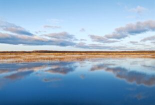 What’s happening to Canada’s vanishing wetlands?