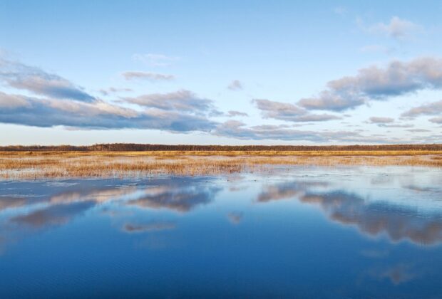 What’s happening to Canada’s vanishing wetlands?