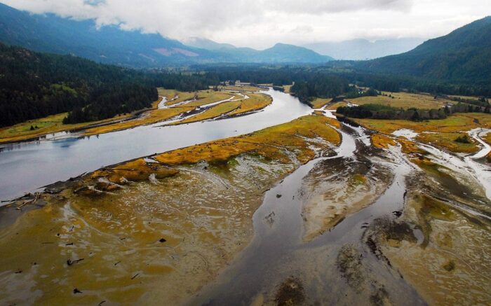 In total, 315 estuaries ranked in the top three Classes. These are dispersed throughout the coast. Northern and Central Mainland has the most Class 1-3 estuaries. 