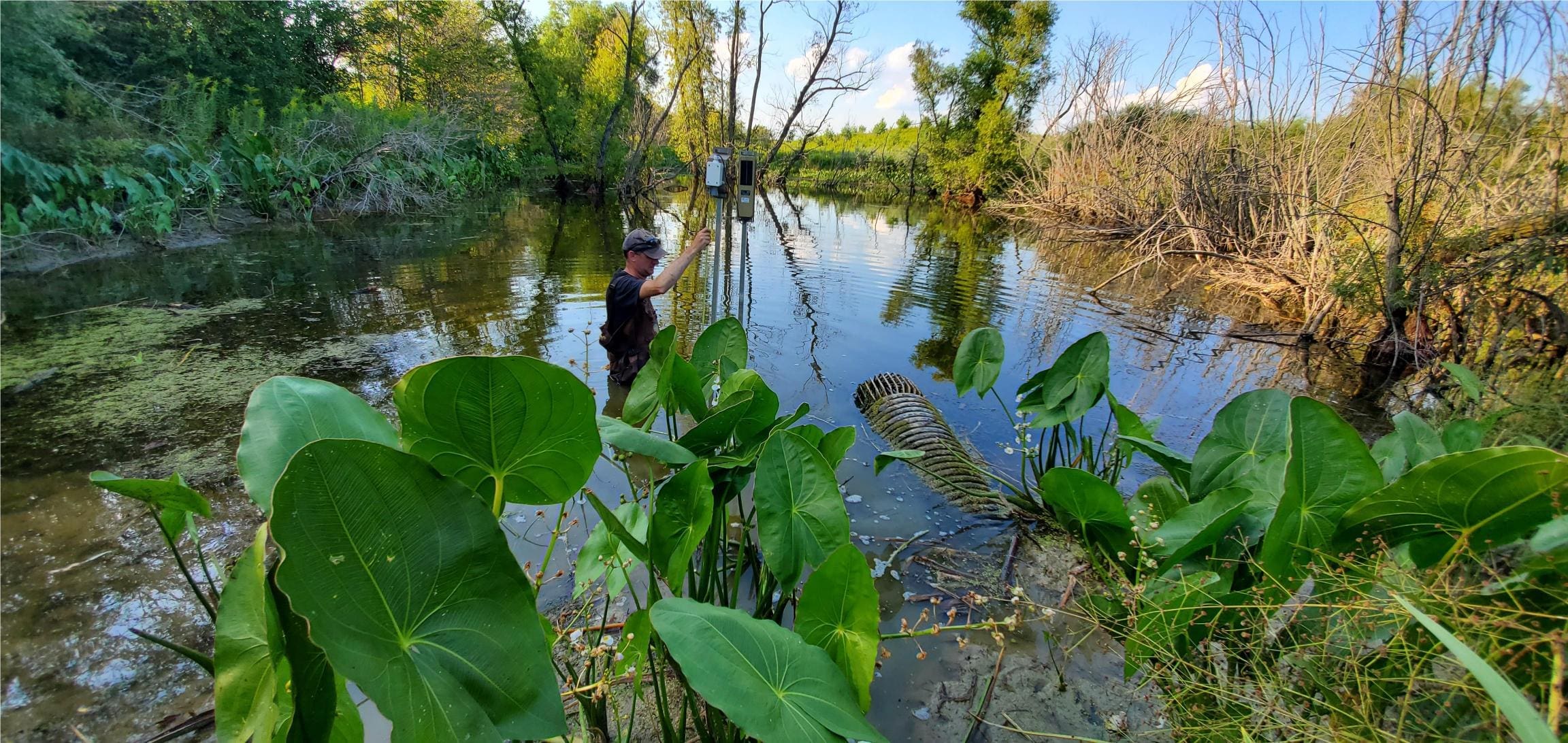 Bryan Page of DUC's Institute for Wetland and Waterfowl Research installs research equipment at a small wetland in southwestern Ontario.