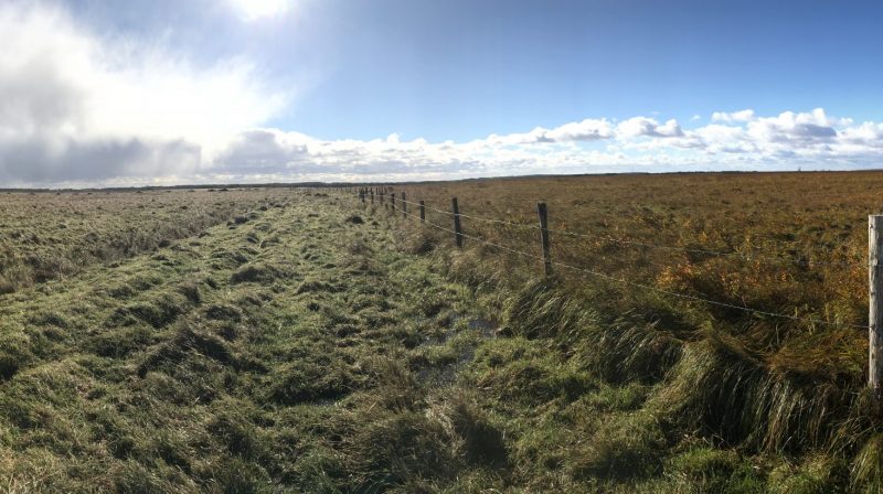 Community pasture helps farmers, cattle and wildlife