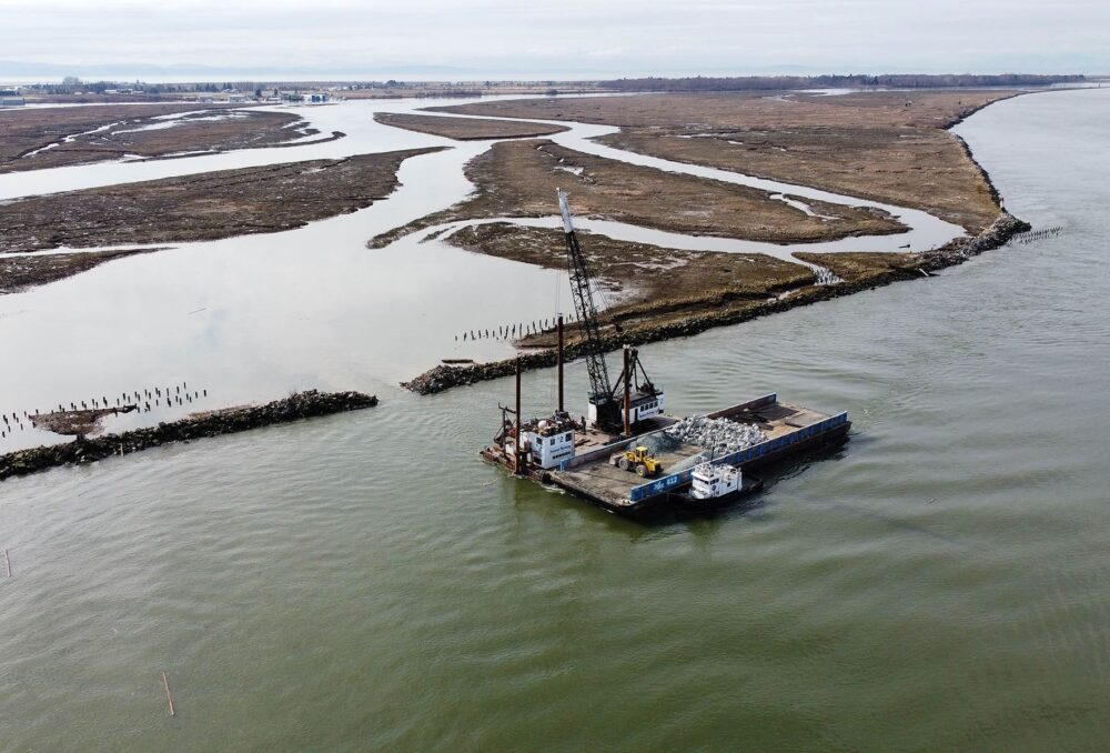An aerial view of the Vancouver Pile Driving barge used to create three breaches in the Woodward Training Wall and Dam on the South Arm Marshes, located on the Fraser River.  