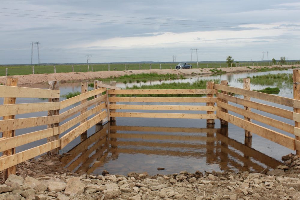 Newly created watering ponds allow the natural vegetation to filter and clean the water, helping stave off droughts, while also allowing the native wildlife to flourish. The ponds are fenced and hardened slips are created to allow cattle to drink without impacting the wetland.
