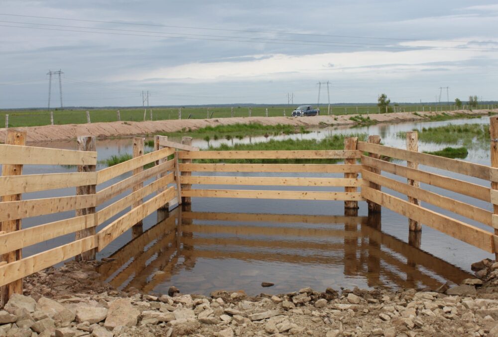 Newly created watering ponds allow the natural vegetation to filter and clean the water, helping stave off droughts, while also allowing the native wildlife to flourish. The ponds are fenced and hardened slips are created to allow cattle to drink without impacting the wetland.