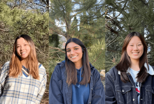 Meet the winners of the Wetland Centres of Excellence case study competition