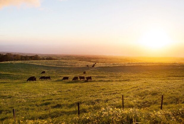 Ducks Unlimited Canada applauds Walmart Canada and the CRSB on new sustainable partnership