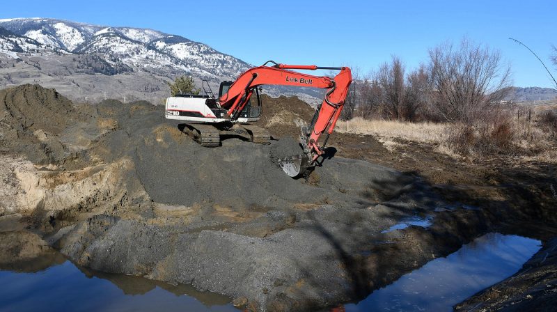 Species at risk focus of wetland restoration in B.C.’s South Okanagan