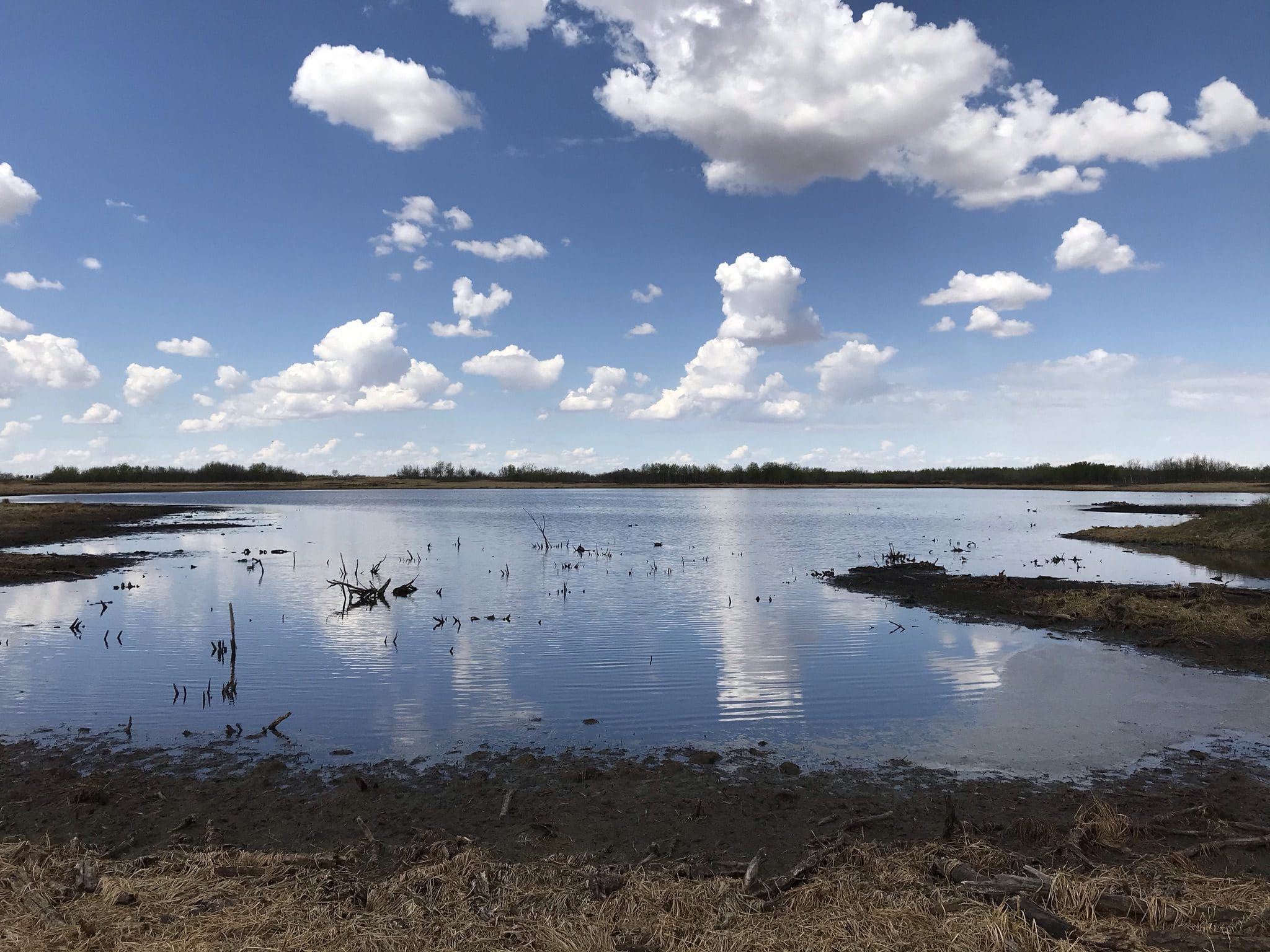 Mudflat shorelines in the Camrose area, Alberta