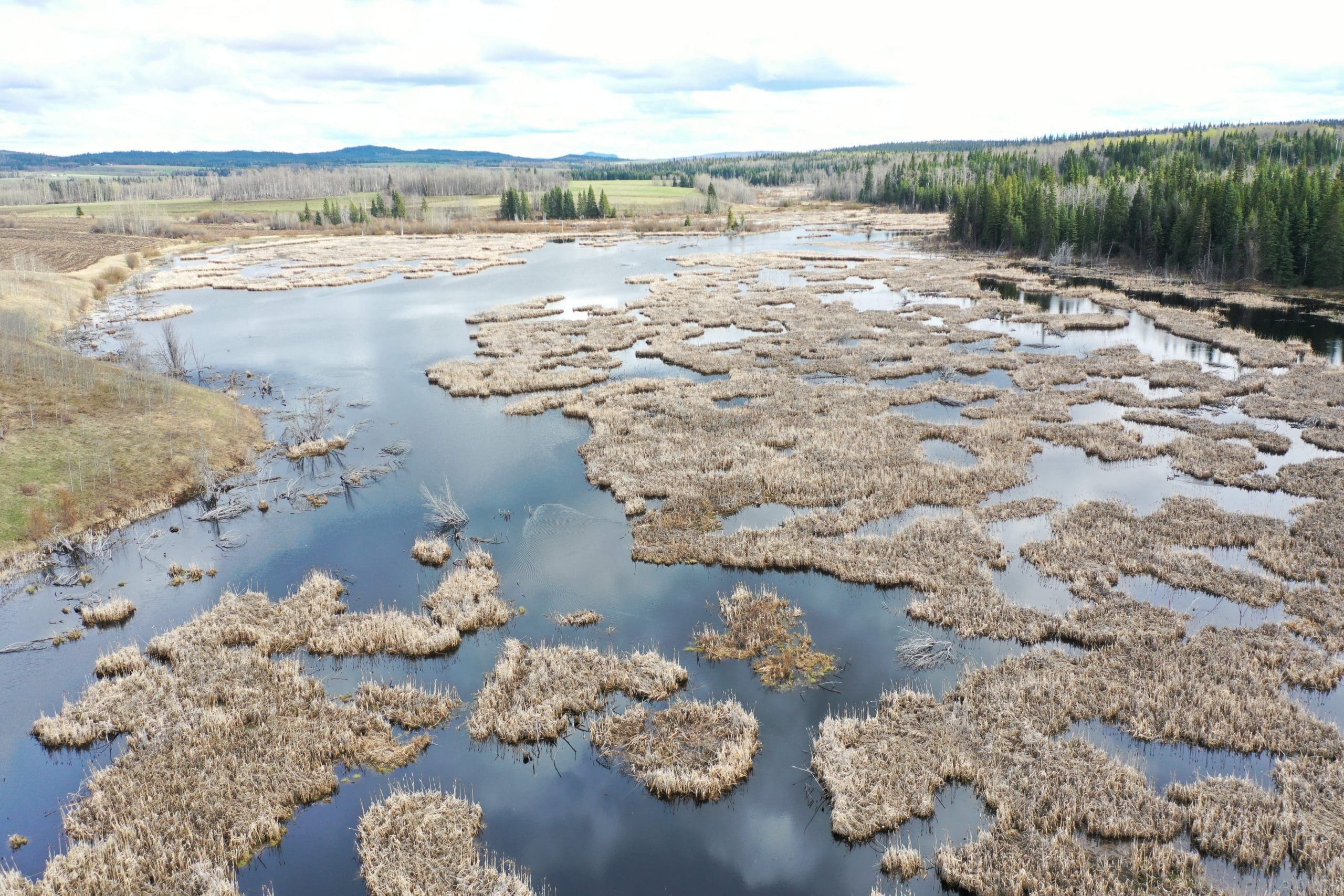 Tatalaska Marsh in the interior of British Columbia