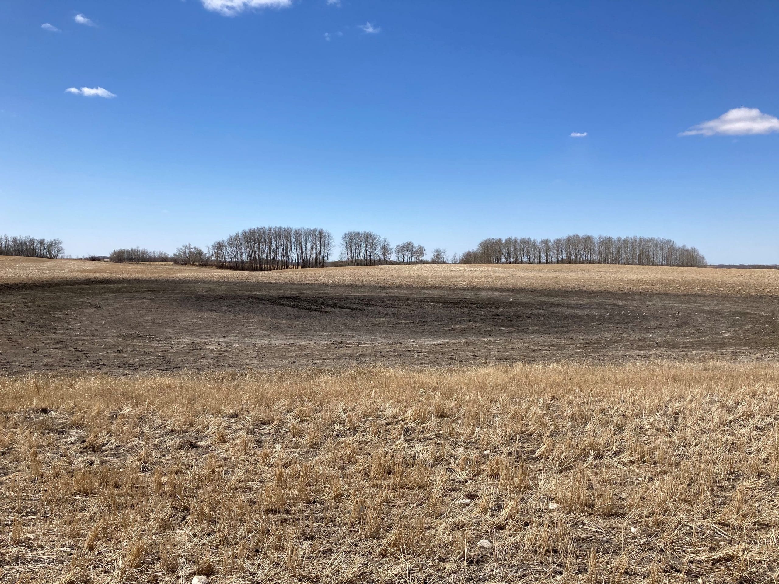 Dry seasonal wetlands in Killarney region of Manitoba,