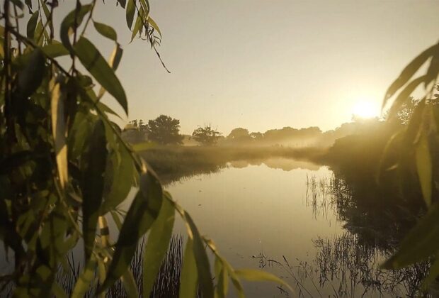 New study showcases nature’s ability to mitigate greenhouse-gas emissions in Canada