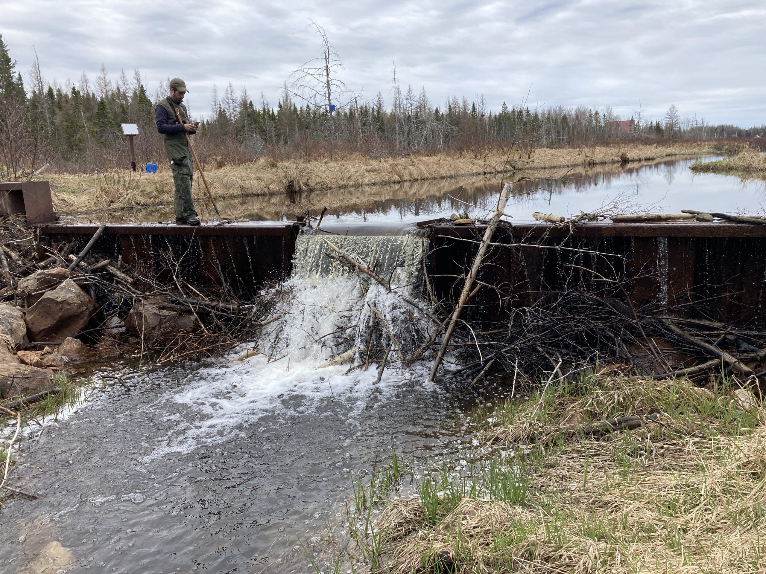 Enhanced wetland project in the Chaudiere-Appalaches region of Quebec