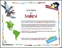 Mallard Certificate