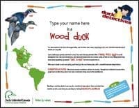 Wood Duck Certificate