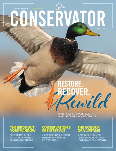 Conservator Magazine