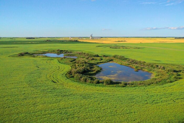 Prairie wetlands