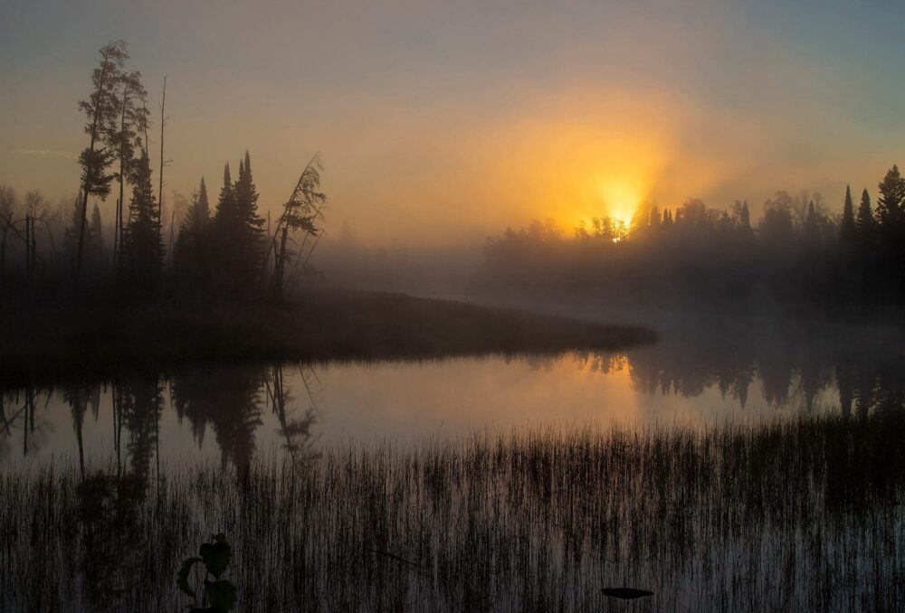 DUC knows what it takes to return valuable ecosystems like wetlands to the landscape.