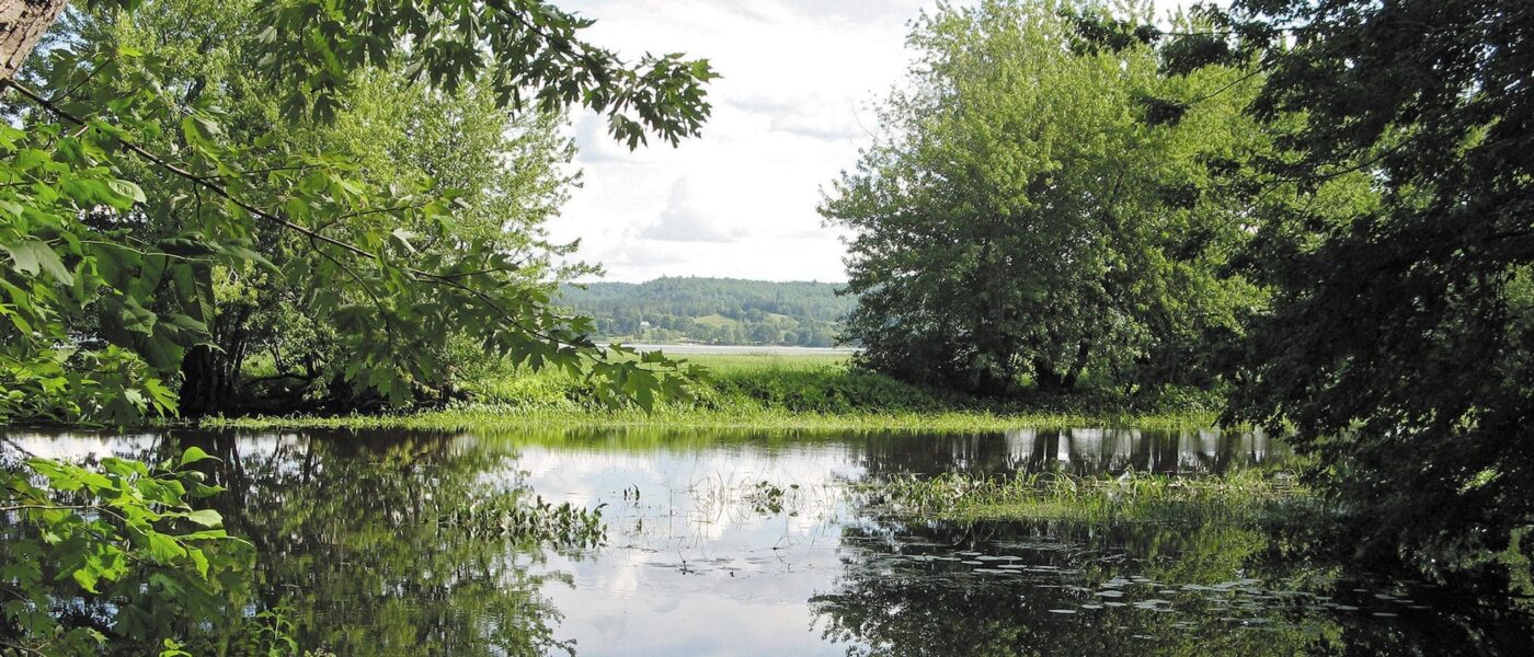 DUC is renewing and restoring 4,900 acres of freshwater habitat along the Wolastoq, in New Brunswick.