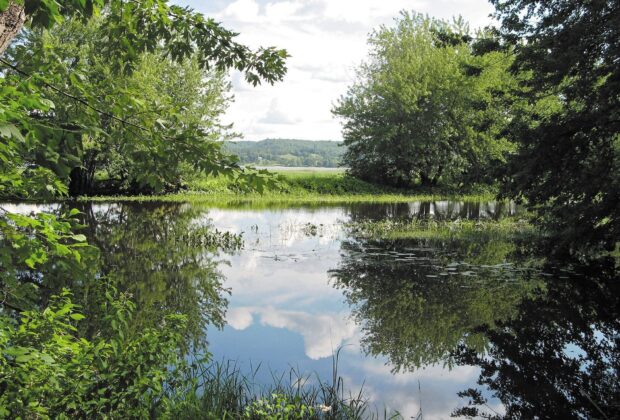 Ducks Unlimited Canada launches $3 million initiative to conserve critical wetland habitat along the Wolastoq