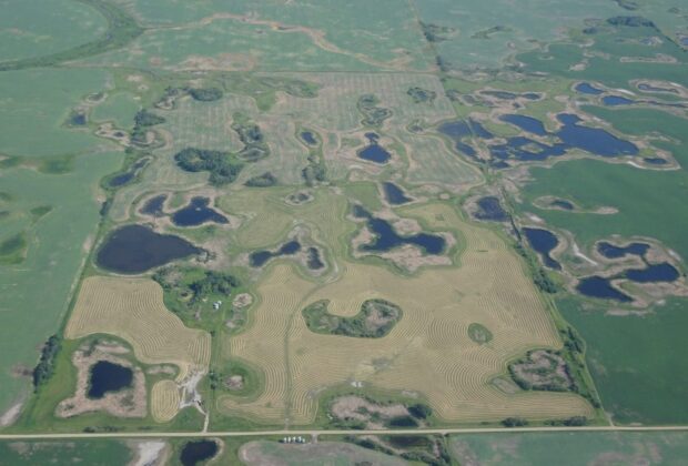 Manitoba farmer appreciates wetlands during prairie drought