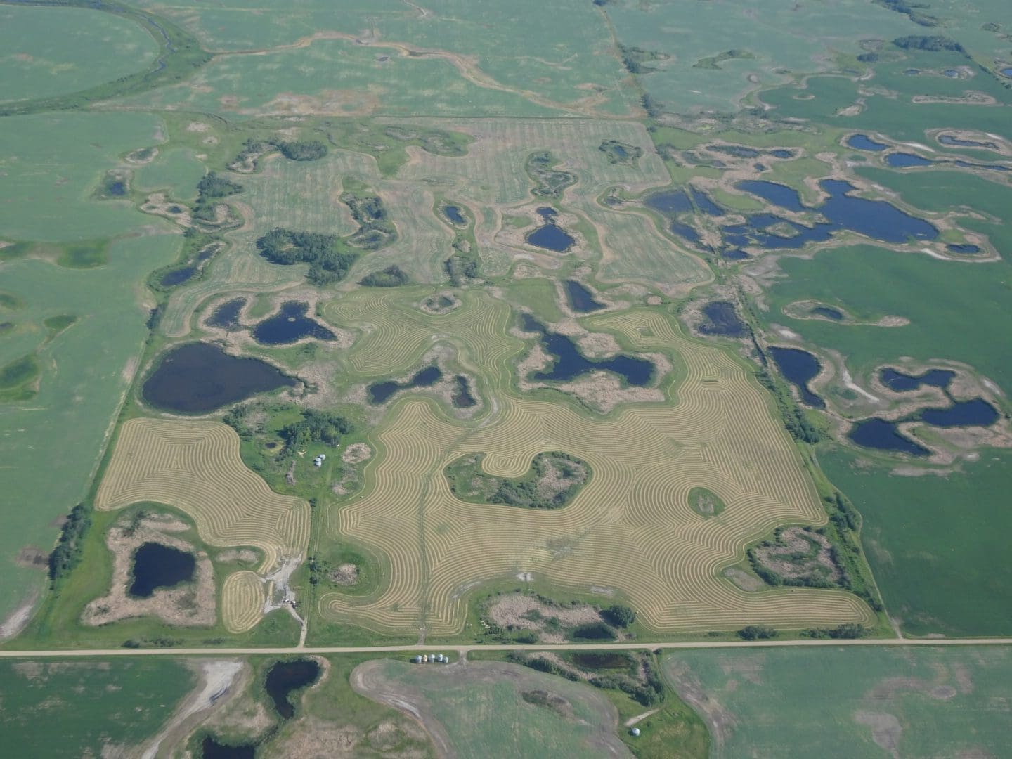 Manitoba farmer appreciates wetlands during prairie drought