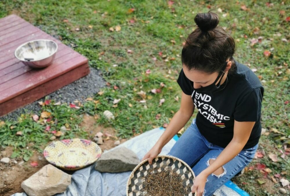 Winnowing the wild rice in a basket helps remove the hulls from the rice after the dancing. 