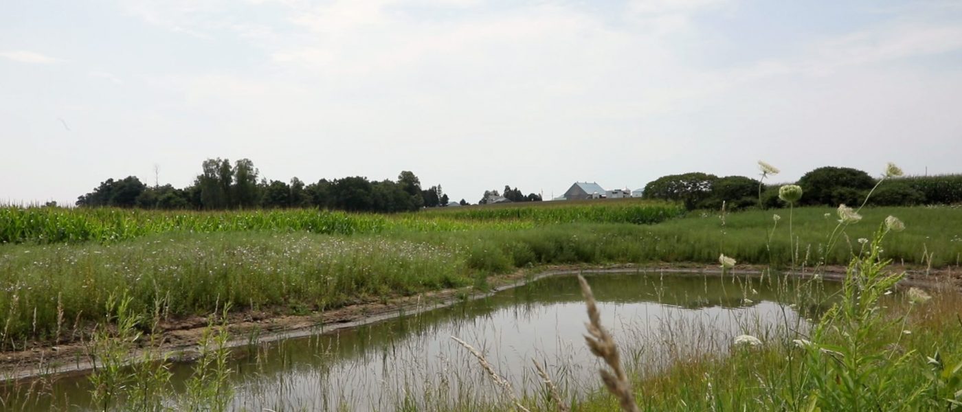 Heritage Hill Farms (Region of Waterloo, Ontario)