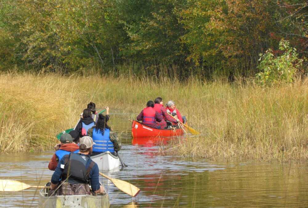 Embarking on the first annual wild rice harvest, October 2020.