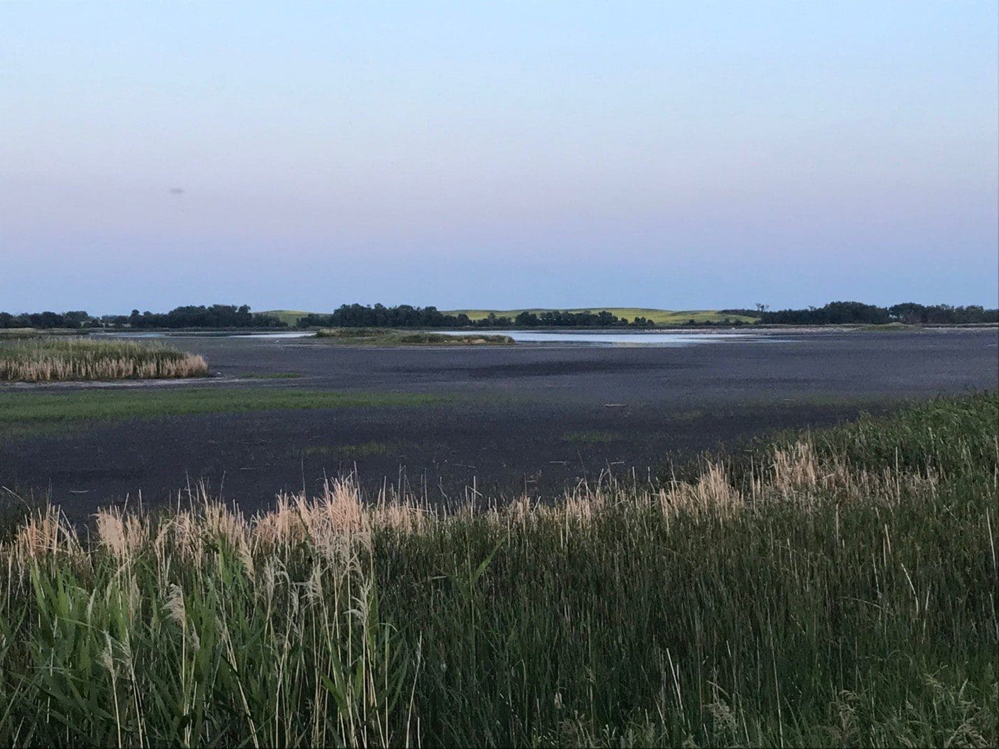 Wetland in Killarney Landscape, Manitoba