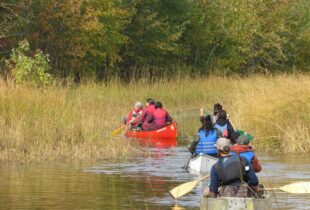 Conserving the wetlands of the Wolastoq