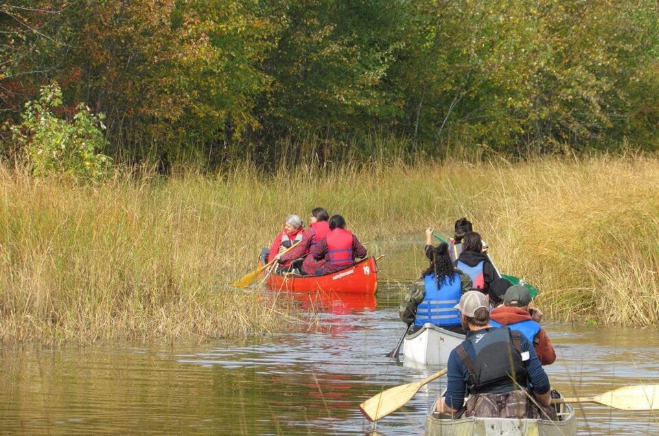 Wild rice canoes