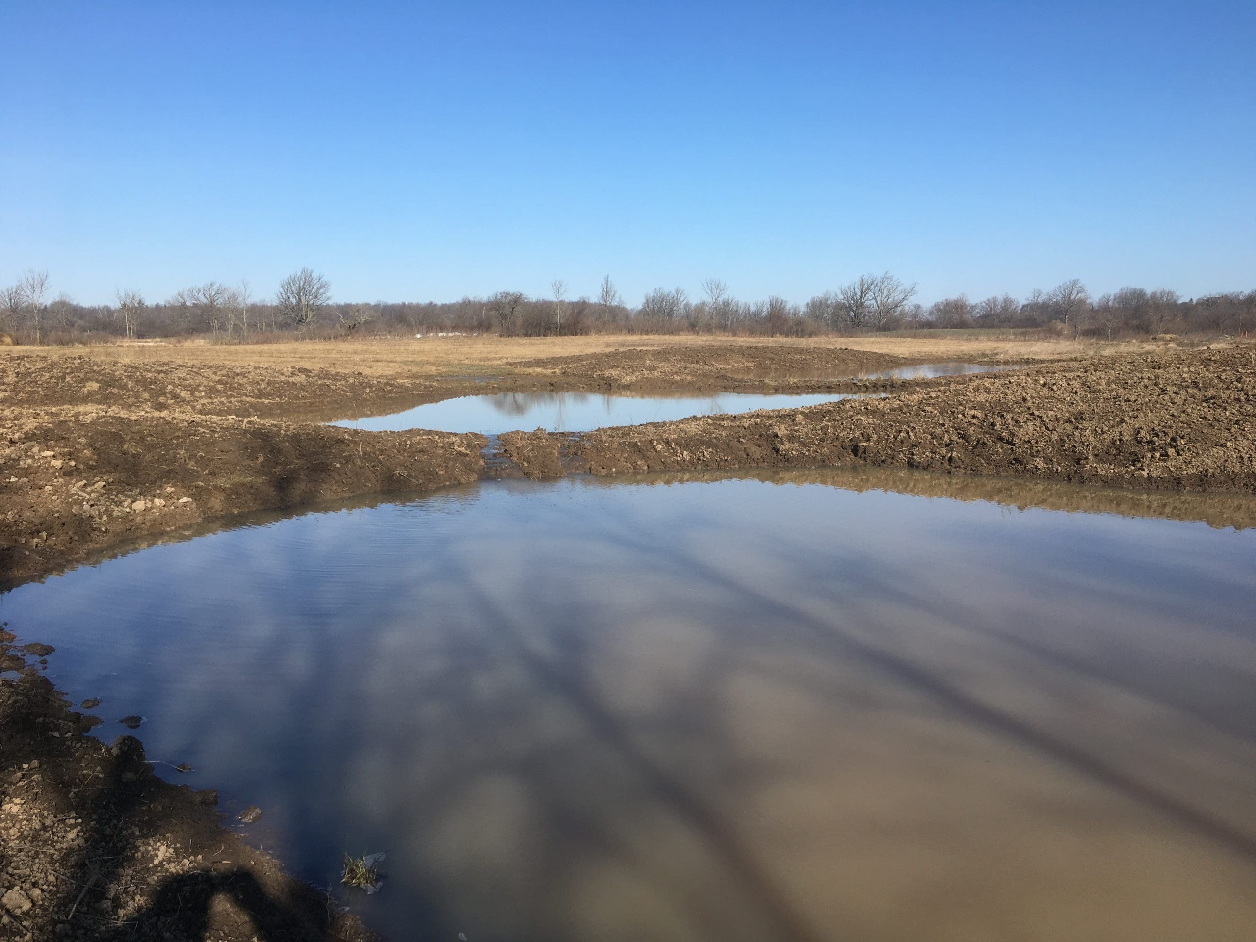 Newly created small wetland with capture area at point of surface-water inflow.