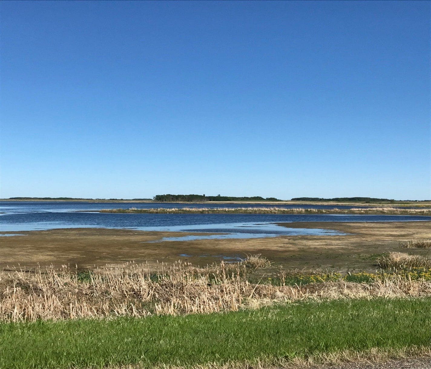 Wetland near Wadena, Saskatchewan