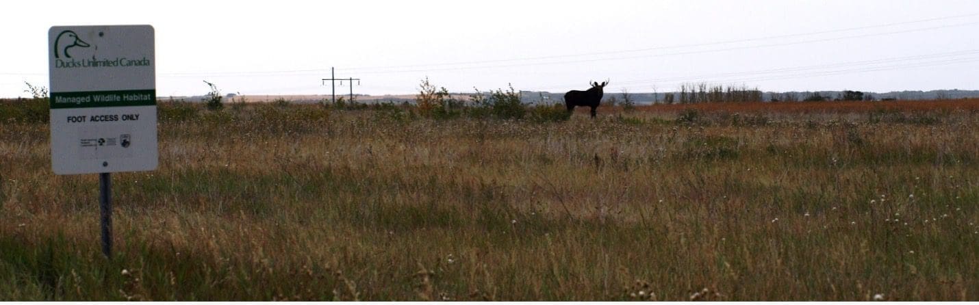 DUC managed land sign