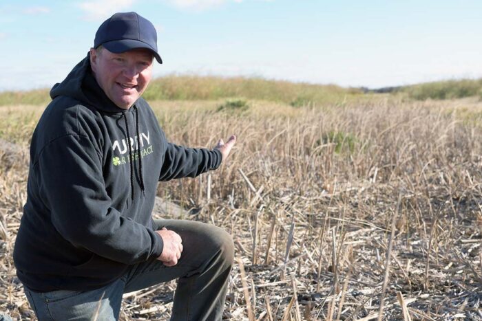 Sean Murphy in the ditch built 50 years ago to drain low-lying wetlands on his land near Souris, Man.