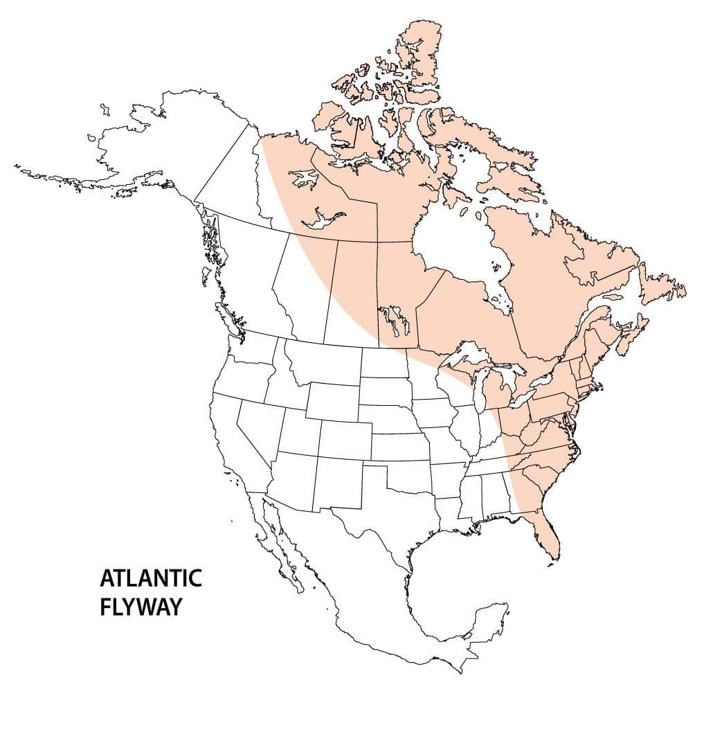 Atlantic flyway map