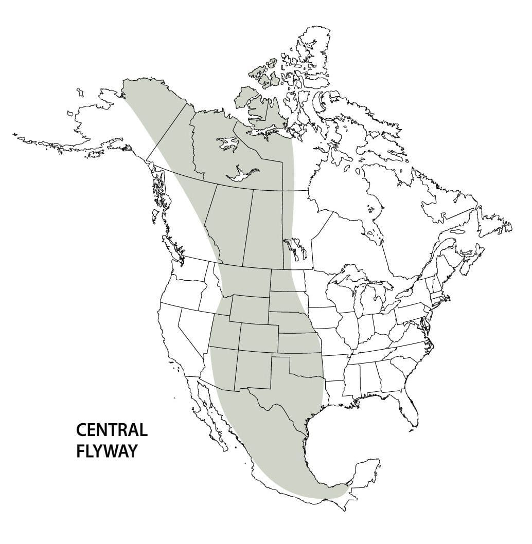 Central flyway map