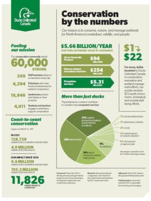 Conservation by the Numbers