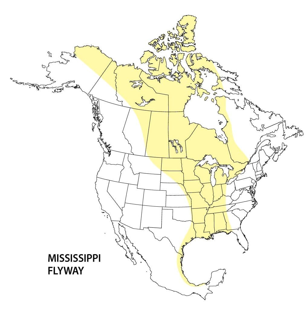 Mississippi flyway map