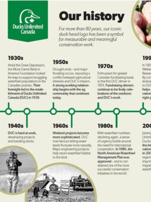 Our History