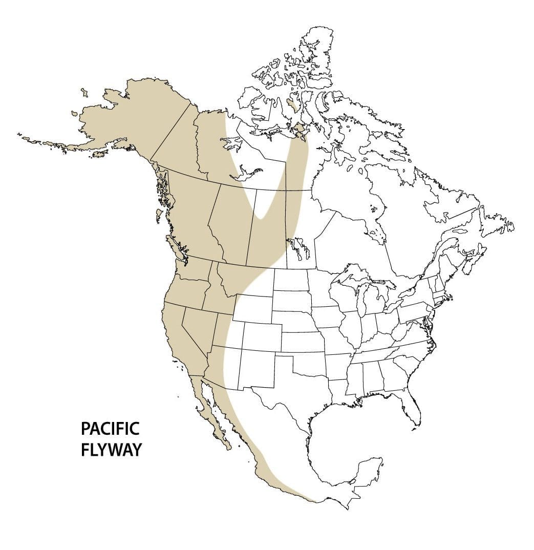 Pacific flyway map