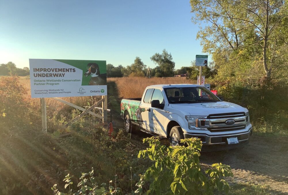 Improvements were underway in September 2021 to enhance the Thompson Creek wetland and fishway habitats.