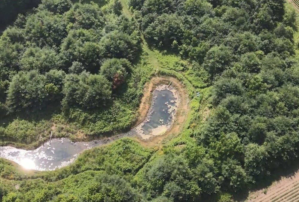 Aerial photo of the small wetland at the Boothby farm about 18 months post-restoration.