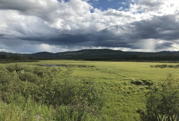 Ducks Unlimited Canada poised to help deliver on COP26 climate commitments