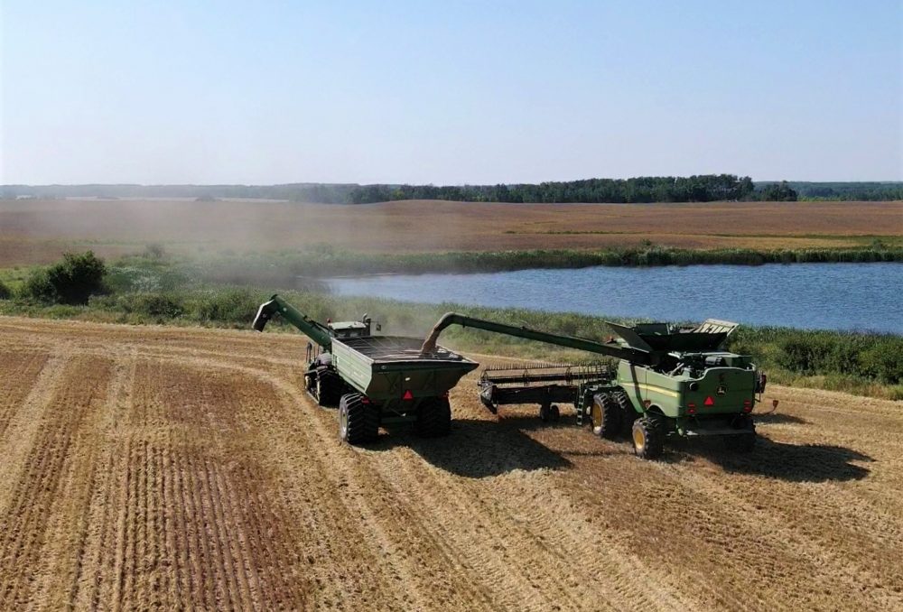 Gross oversees all DUC conservation programming in Manitoba, including the incentives paid to this farmer for growing winter wheat next to protected wetlands near Sandy Lake MB